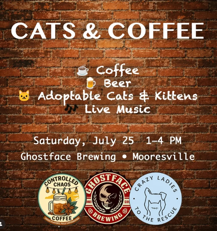 Cats & Coffee