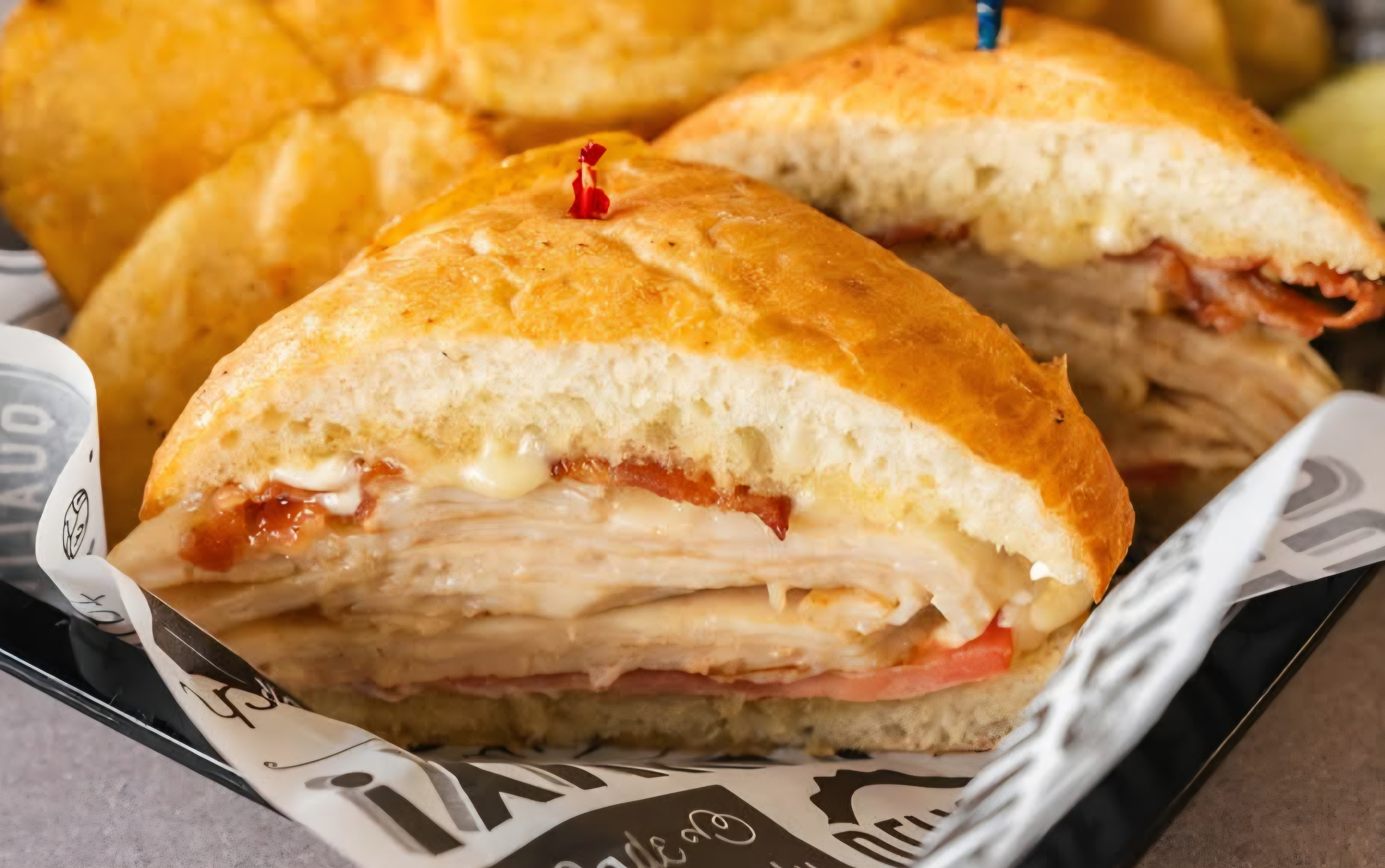04 Turkey Panini